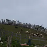 Um Da Casa Do Monte *