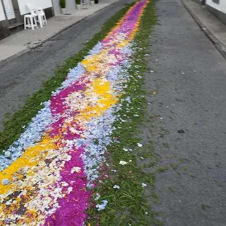 Um Da Casa Do Monte * Água de Alto