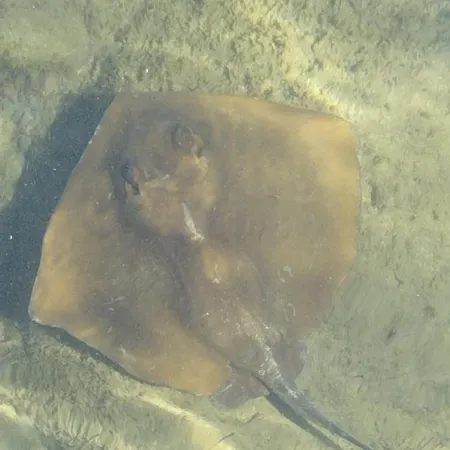 Apartmán Um Da Casa Do Monte *