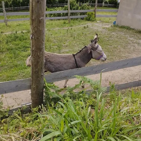 Um Da Casa Do Monte Apartmán