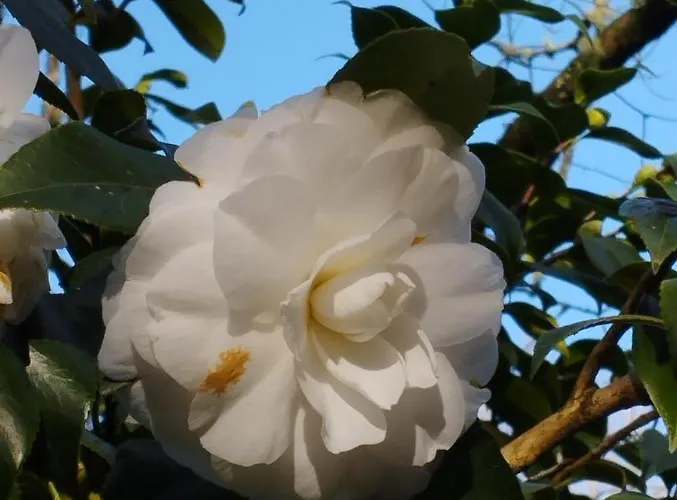 Um Da Casa Do Monte 아파트 *