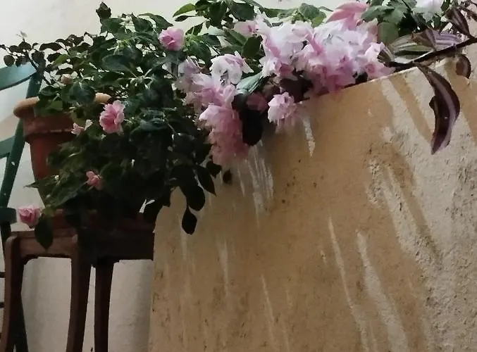 Um Da Casa Do Monte 아파트 *