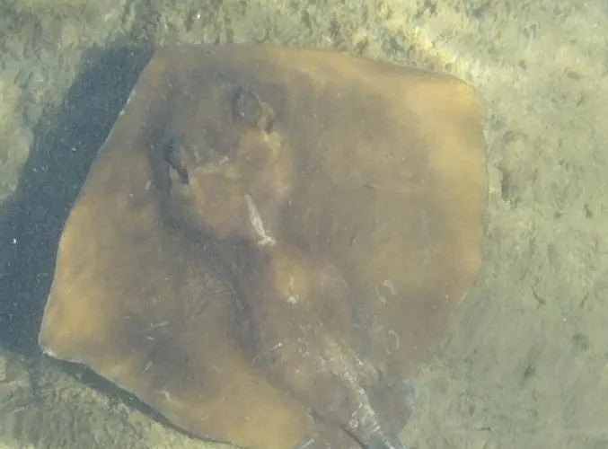 아파트 Um Da Casa Do Monte *