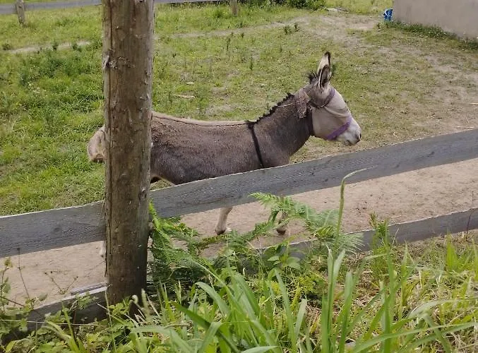 Um Da Casa Do Monte 아파트