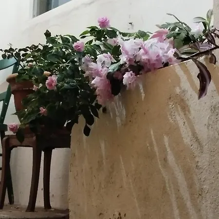 Um Da Casa Do Monte Apartment *