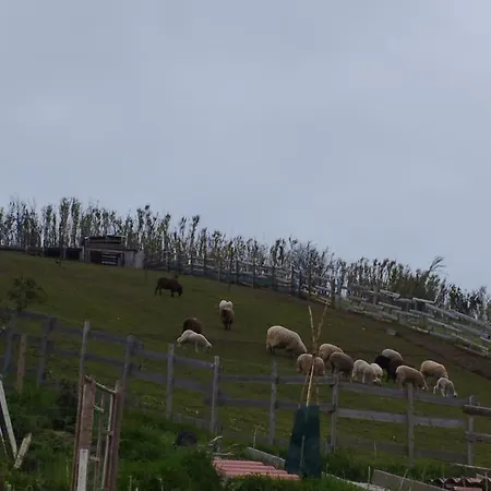 Um Da Casa Do Monte *