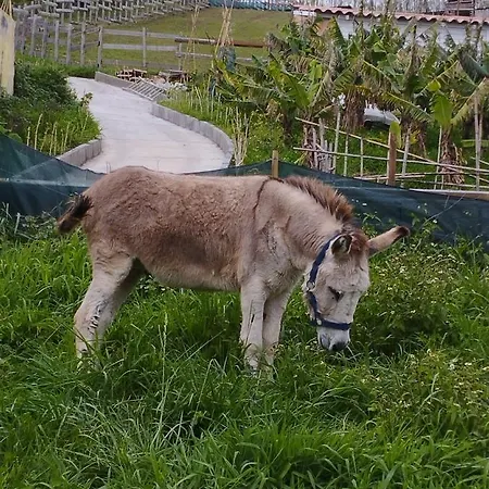 דירה Um Da Casa Do Monte *