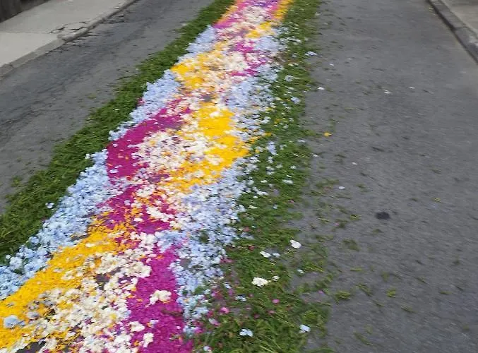 Um Da Casa Do Monte * Agua de Alto