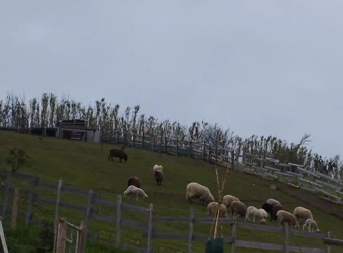 Um Da Casa Do Monte *